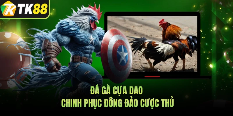Đá gà cựa dao chinh phục đông đảo cược thủ